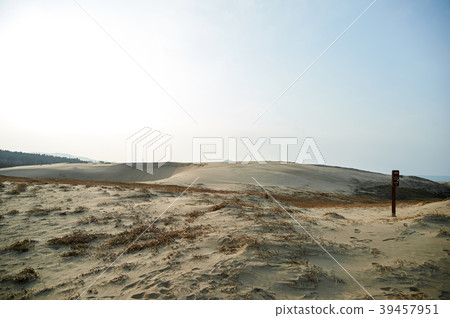 Taean Sinduri Coast Dune, Taean-gun, Chungnam, Korea 39457951
