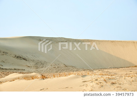 Taean Sinduri Coast Dune, Taean-gun, Chungnam, Korea Taean Sinduri Coast Dune, Taean-gun, Chungnam, Korea 39457973