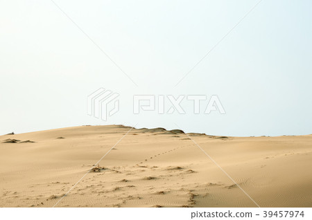 Taean Sinduri Coast Dune, Taean-gun, Chungnam, Korea 39457974