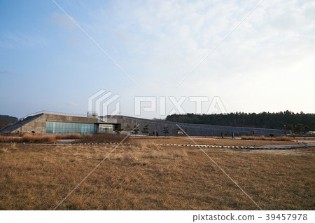 Taean Sinduri Coast Dune, Taean-gun, Chungnam, Korea 39457978