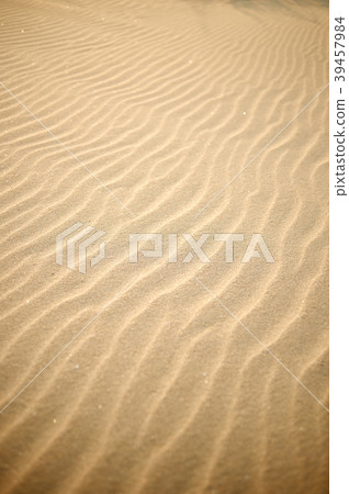 Taean Sinduri Coast Dune, Taean-gun, Chungnam, Korea 39457984