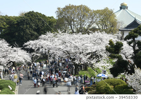 日本櫻花的東京都市風景（看日本武道館的方向） 39458330