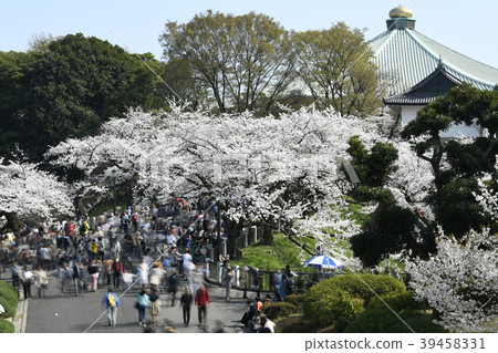 Tokyo cityscape in Japan Sakura (looking at the direction of Nippon Budokan) 39458331