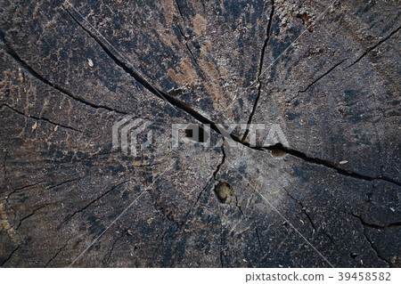 Old wood texture. Floor surface Old wood texture. Floor surface 39458582