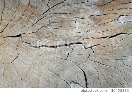 Old wood texture. Floor surface Old wood texture. Floor surface 39458583
