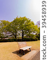 Early summer scenery (trees and benches) Early summer scenery (trees and benches) 39458939