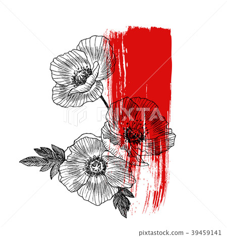 California poppy flowers drawn and sketch with 39459141