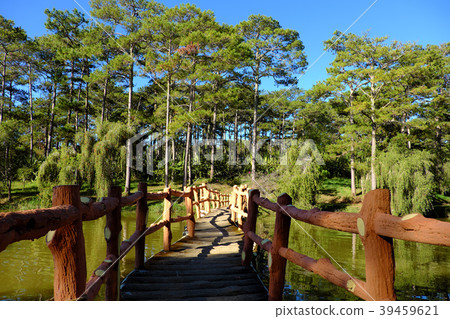 bridge  cross a lake in  pine forest 39459621