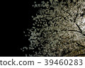 Cherry blossoms at night 39460283