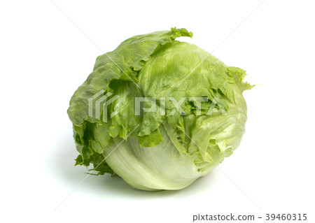 lettuce lettuce 39460315