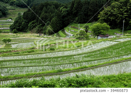 Toyonocho Kawajiri的Tanada 39460873