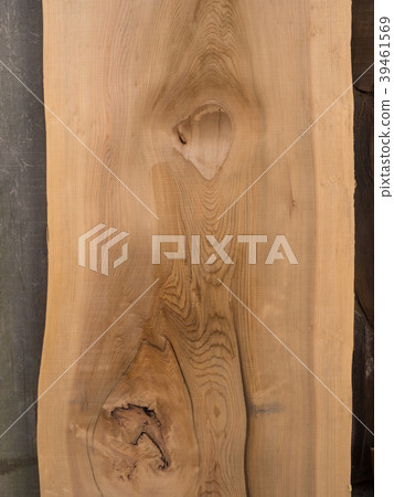 Cross section of the famous tree Cross section of the famous tree 39461569