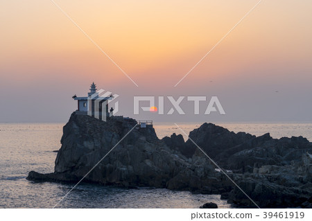 Orang,Daegu,Busan Orang,Daegu,Busan 39461919