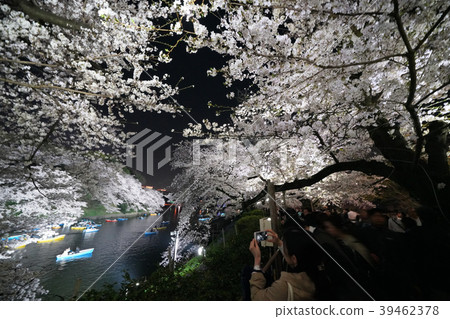 Tokyo cityscape in Japan People who enjoy lighted up cherry blossoms = Chiyoda-ku, Tokyo (Chidorigafuchi) 39462378
