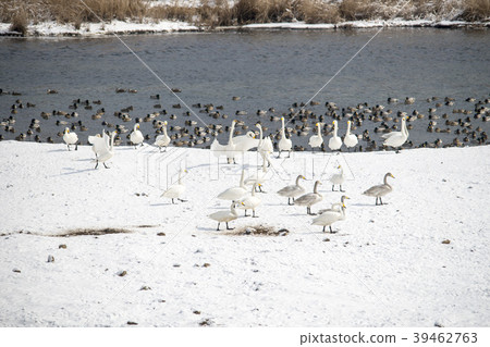 Goni, Cheolwon-gun, Gangwon-do Goni, Cheolwon-gun, Gangwon-do 39462763