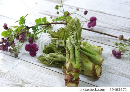 Persimmon (Sauna) and akebi flower Persimmon (Sauna) and akebi flower 39463271