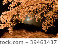 Full moon and cherry blossoms 39463437