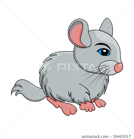 Cartoon chinchilla rodent isolated on white  39465017