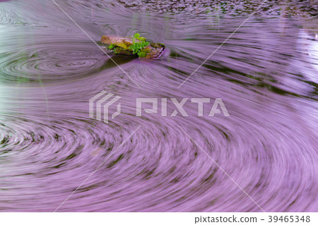 櫻桃漩渦 櫻桃漩渦 39465348