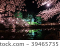 Sakura and Takada Castle at Takada Park 39465735