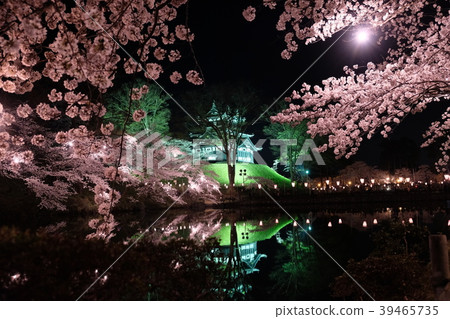Sakura and Takada Castle at Takada Park Sakura and Takada Castle at Takada Park 39465735