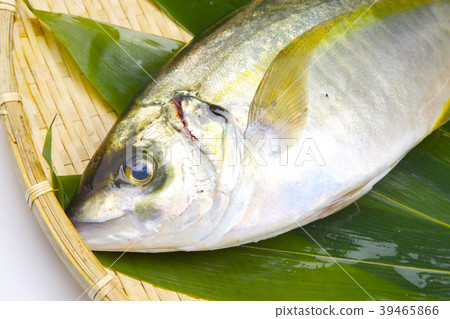 Shoaji Foodstuff 39465866