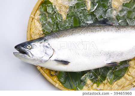 櫻桃三文魚 39465960