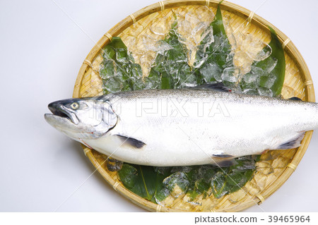 櫻桃三文魚 39465964