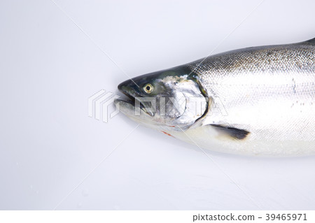 Cherry salmon 39465971