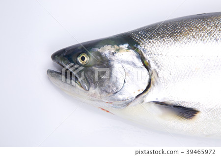 Cherry salmon 39465972