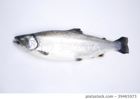 Cherry salmon 39465973