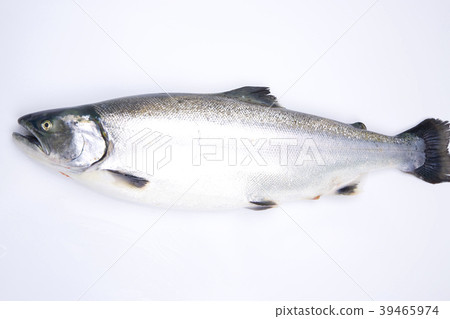 Cherry salmon 39465974