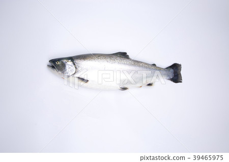 Cherry salmon 39465975