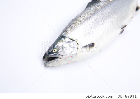 Cherry salmon 39465981