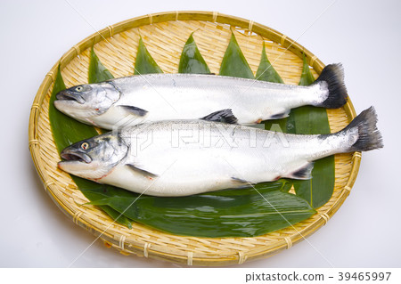 Cherry salmon 39465997