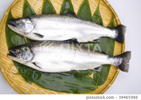 櫻桃三文魚 39465998