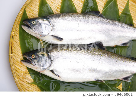 櫻桃三文魚 39466001