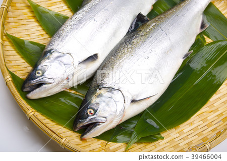 櫻桃三文魚 39466004