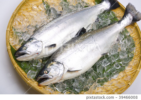櫻桃三文魚 櫻桃三文魚 39466008