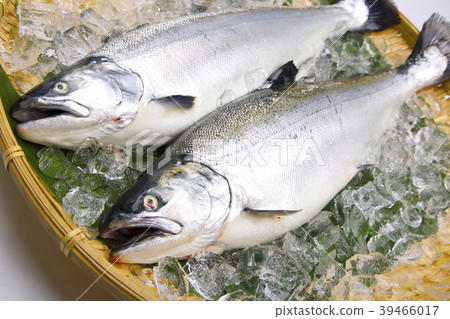 Cherry salmon 39466017