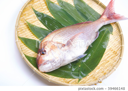 Shingo ingredients 39466148