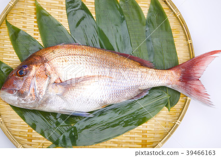 Shingo ingredients Shingo ingredients 39466163