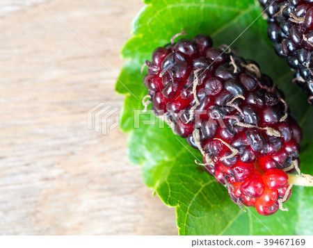 Close up group of mulberries with a green leaves 39467169