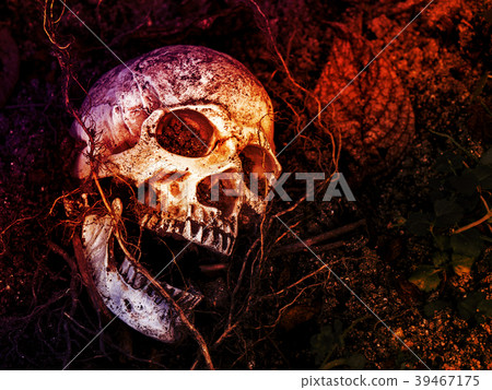 In front of human skull buried in the soil with In front of human skull buried in the soil with 39467175