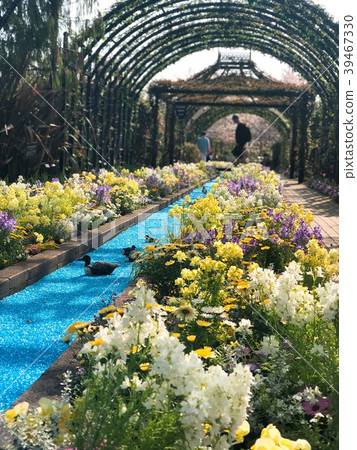 A garden A garden 39467330