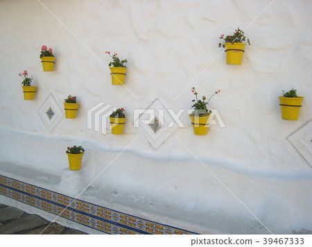 Mediterranean Village Flower 39467333