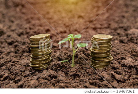 Saving money concept with money coin stack Saving money concept with money coin stack 39467361