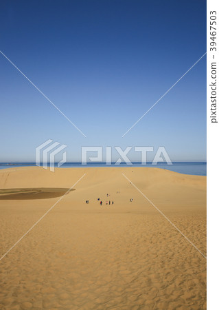 Tottori Sand Dunes (Tottori City, Tottori Prefecture) 39467503