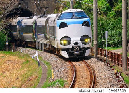 Panda Kuroshio No. JR 287 Panda face Express Train Kuroshio 48 39467869