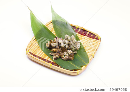 Turtle's hand 39467968